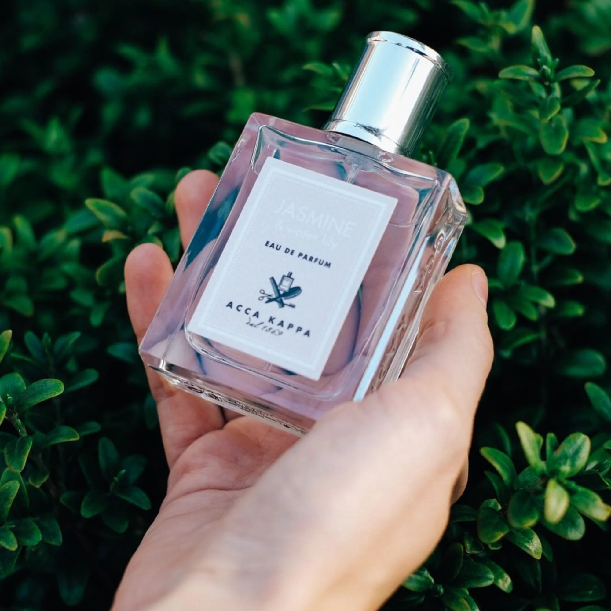 Jasmine & Water Lily Eau de Parfum - Image 6