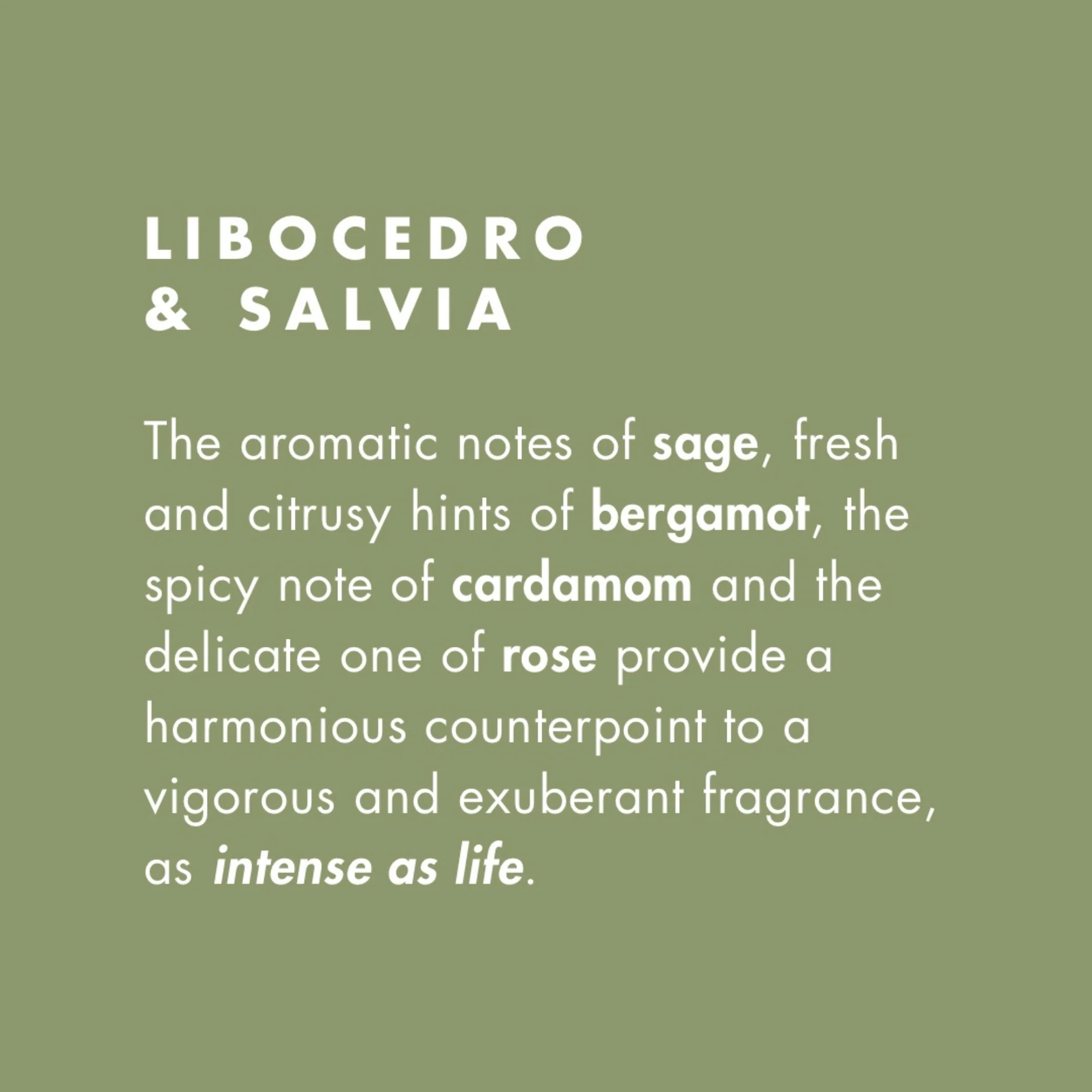 Libocedro & Salvia Eau De Parfum - Image 5